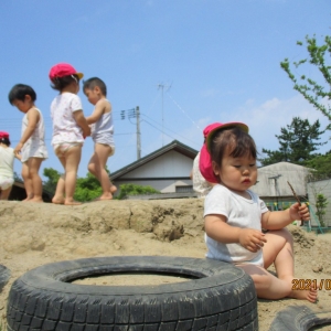 保護中: 行動範囲が広がっています（とことこ組）