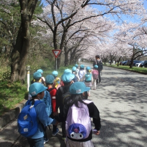 保護中: ぐんぐん組　エプソンにお花見行ってきました。